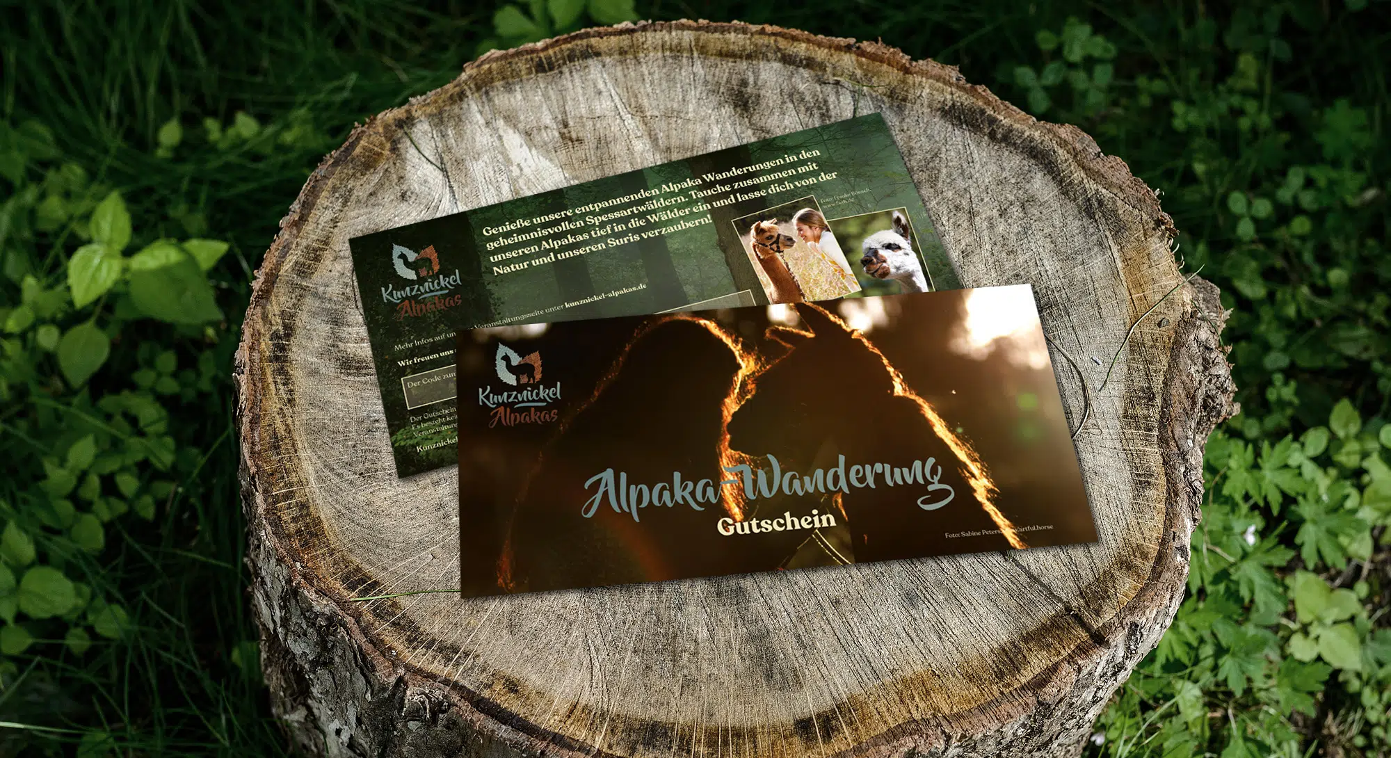 wertgutschein wertgutschein