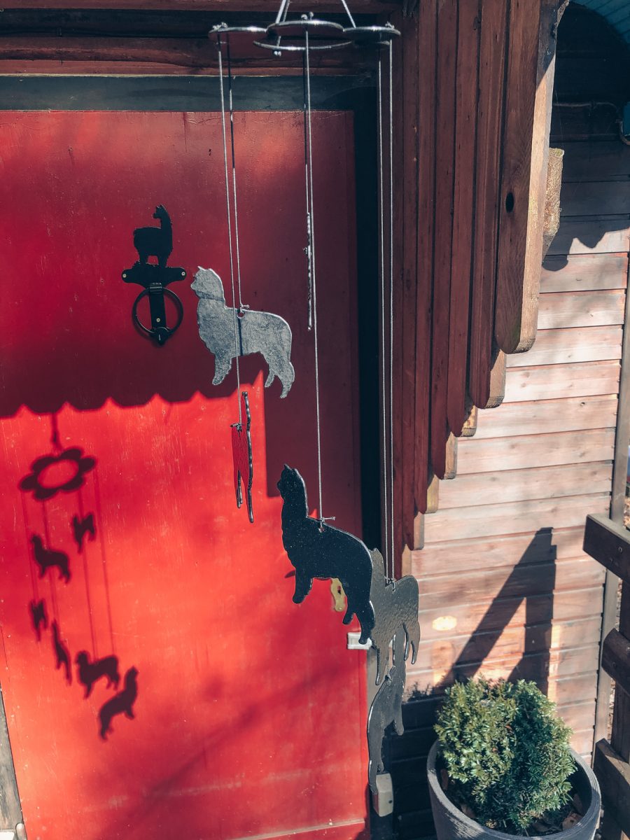 "lama lover mystery box" "lama lover mystery box"