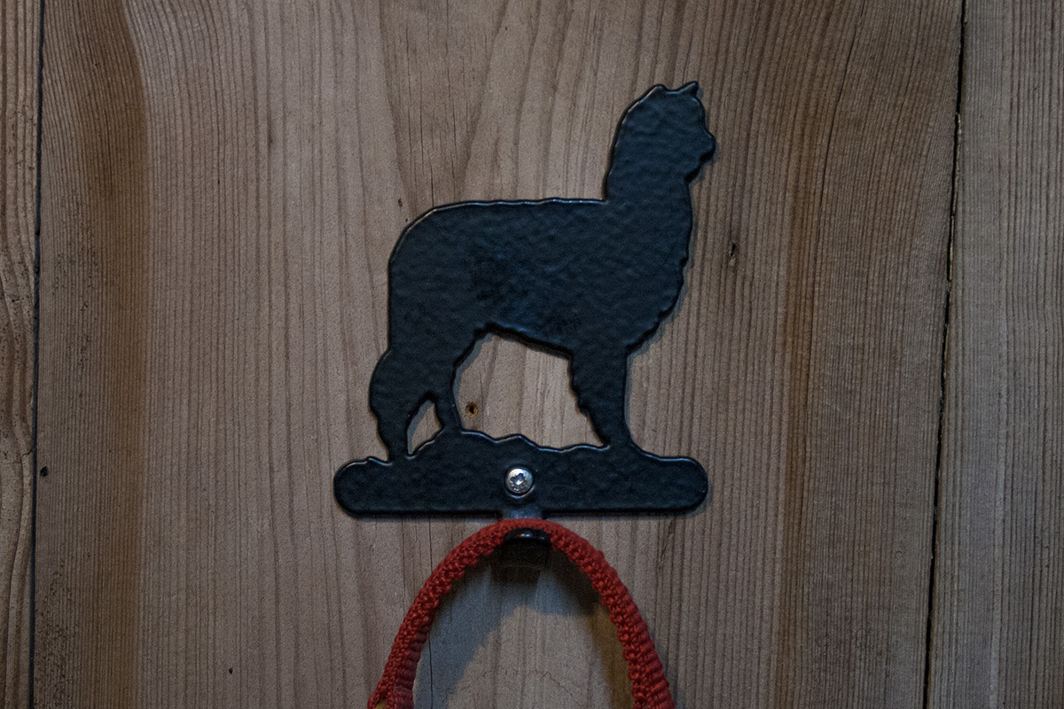 "alpaka lover mystery box" "alpaka lover mystery box"