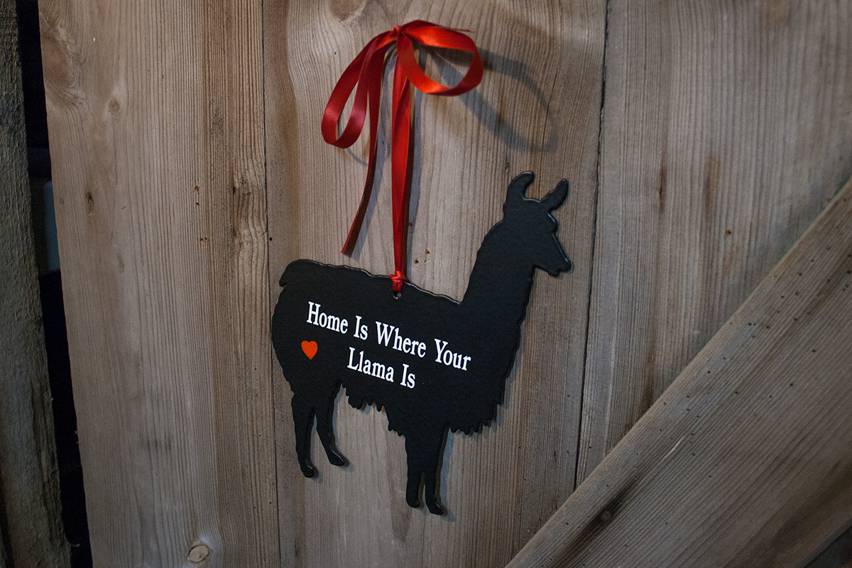 home is... lama home is... lama