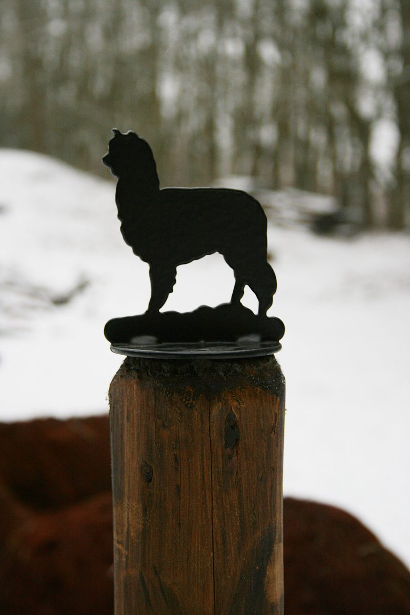 "lama lover mystery box" "lama lover mystery box"